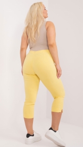 pol_pl_Hurt-Jasnozolte-dopasowane-spodnie-3-4-plus-size-406327_5.jpg
