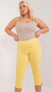 pol_pl_Hurt-Jasnozolte-dopasowane-spodnie-3-4-plus-size-406327_3.jpg