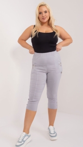 pol_pl_Hurt-Jasnoszare-dopasowane-spodnie-3-4-plus-size-406297_4 (1).jpg